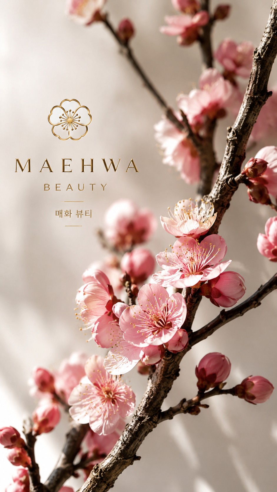 Branche de fleur de prunier maehwa en pleine floraison